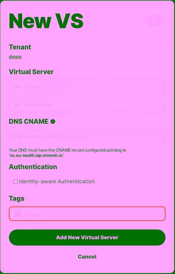 Virtual Server form.